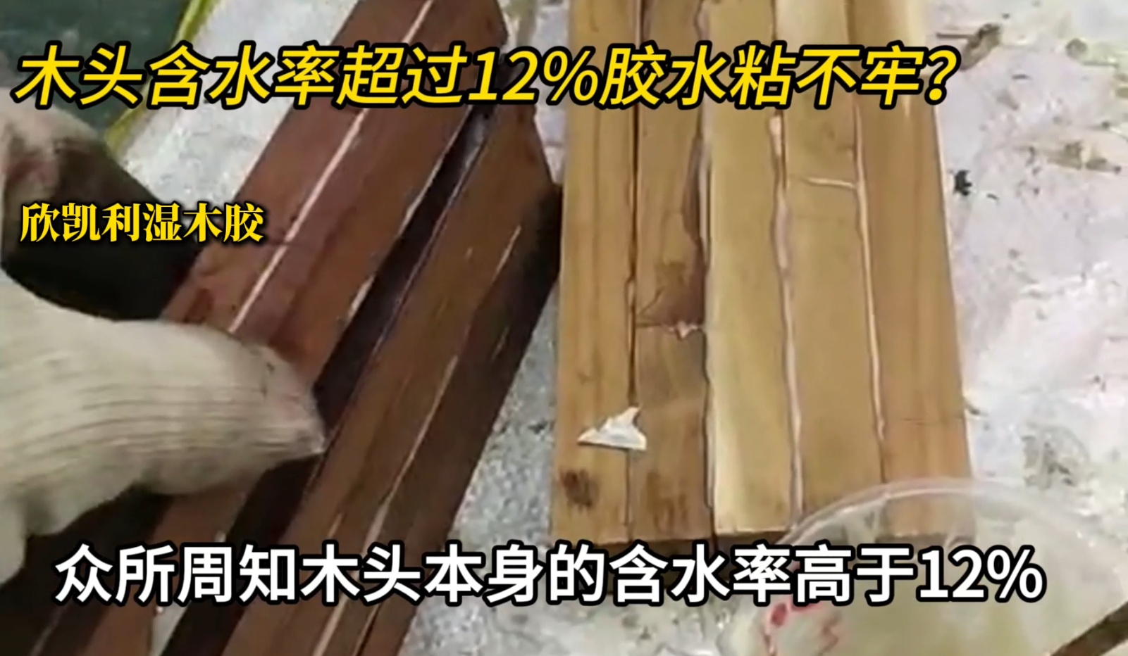 欣凱利濕木膠可用于：橡木、胡桃木、楓木、櫻桃木松木、杉木等木種